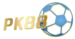 where to buy sudoku books in store
